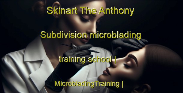 Skinart The Anthony Subdivision microblading training school | MicrobladingTraining | MicrobladingClasses | SkinartTraining-United States